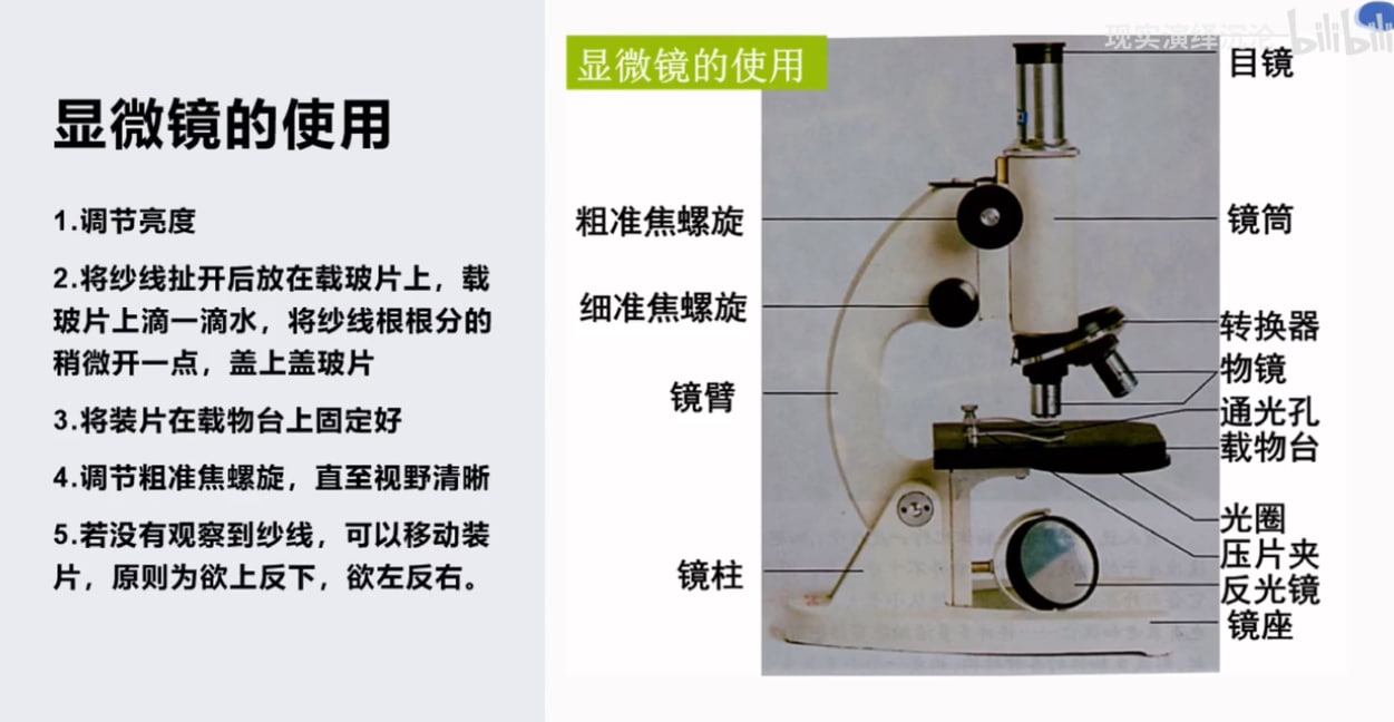 面料成分鉴别指南：3步区分长丝与短纤，常用纤维中英文对照表